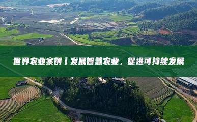 物聯(lián)網(wǎng)技術(shù)賦能智慧農(nóng)業(yè) 全球案例與可持續(xù)發(fā)展路徑